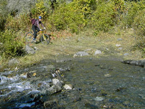 Peters Creek Stream Crossing